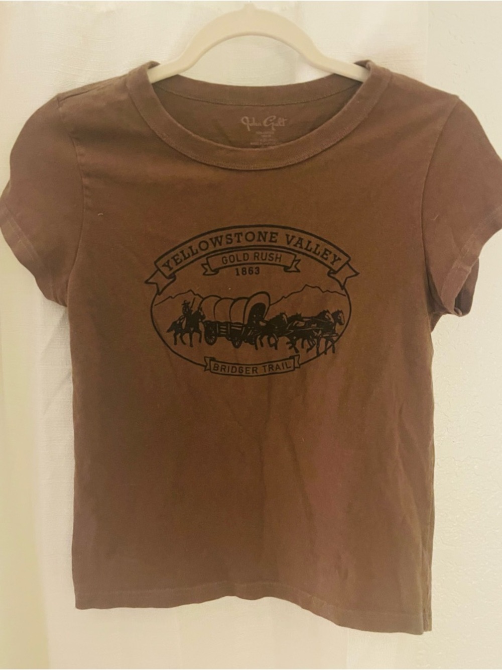 John Galt Yellowstone Valley  Graphic Tee - Brown